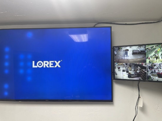 Security system with cameras