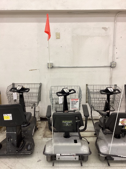 ELECTRIC SHOPPING CART
