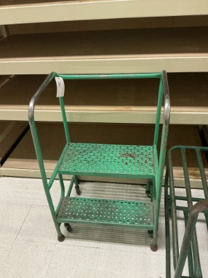 2 Step Stocking Ladder