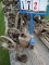Worthington Kerosene Engine, 2.5hp