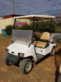 Fairplay Electric Golf Cart