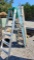 3 Werner 6' Ladders