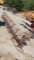 1/2 HP Electric Motor Hay Conveyor