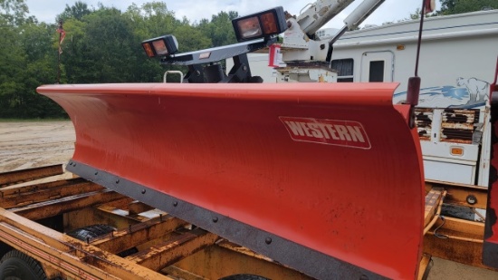 Western Snow Plow Pro Plow 9' (A)