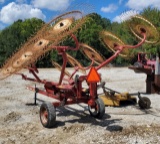 Sitrex 10 Wheel Rake