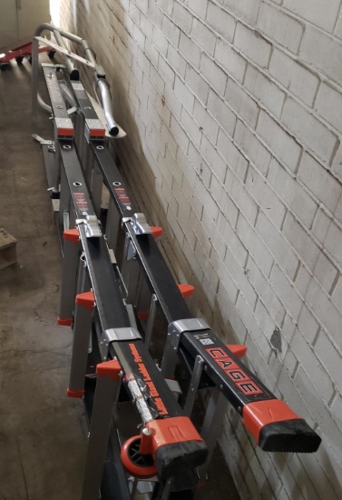 Little Giant Cage Ladder