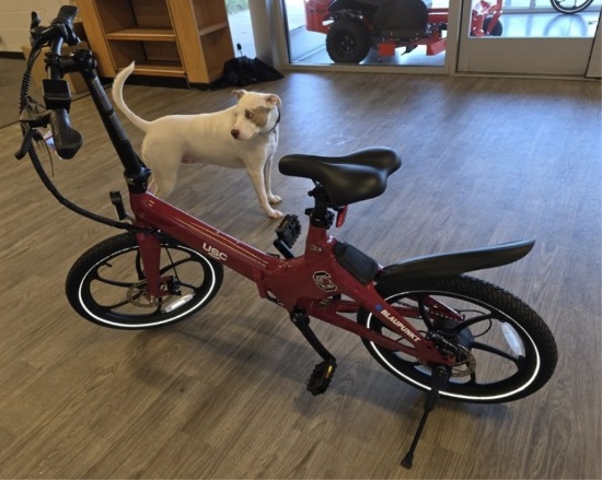 2026 BLAUPUNKT EBIKE Carolina NEW!