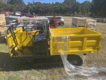2026 CDWS25 Seated Crawler Dumper (A); YELLOW