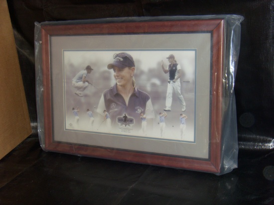 Annika Sorenstam Colonial Invitational Photo Collage - great pic and frame