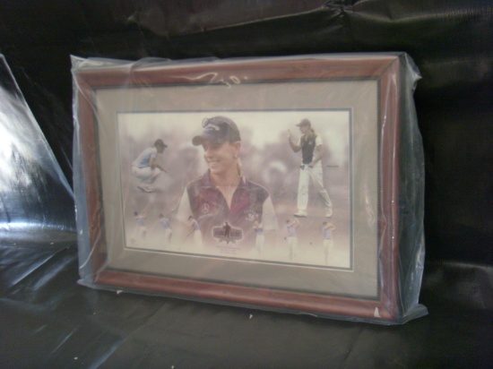 Annika Sorenstam Colonial Invitational Photo Collage - great pic and frame