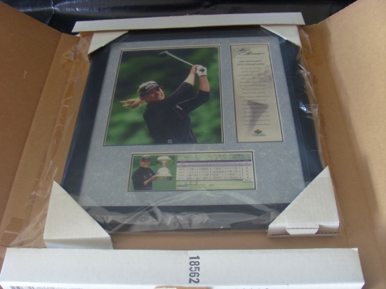 Annika Sorenstam - 2004 McDonalds LPGA Championship - 10 x 8 pic in bigger