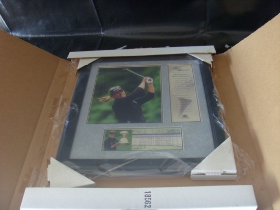 Annika Sorenstam - 2004 McDonalds LPGA Championship - 10 x 8 pic in bigger