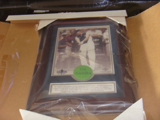 Annika Sorenstam Contact with button - vg frame - 10 x 8 pic in bigger fram