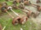 (2) RAIL AXLES