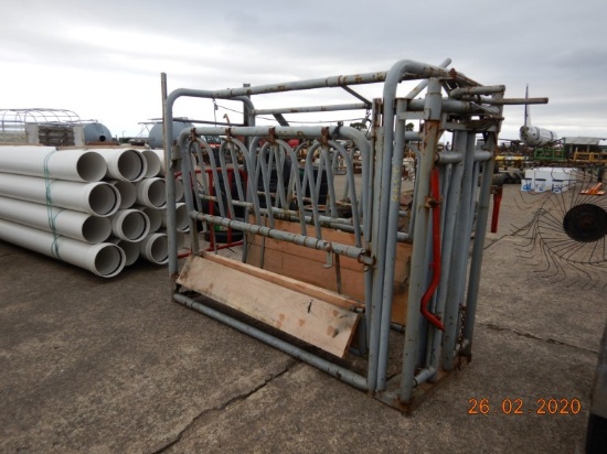 CATTLE SQUEEZE CHUTE,  WITH HEADGATE