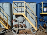 2004 DRAGON FRAC TANK TRAILER,  500-BBL, INTERNAL MANIFOLD, SPRING RIDE, 22