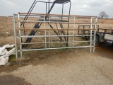 (10) 10' CATTLE PANELS