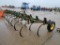 JOHN DEERE 1610 CHISEL PLOW