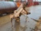 VELSCO PTO LEVEE DITCHER