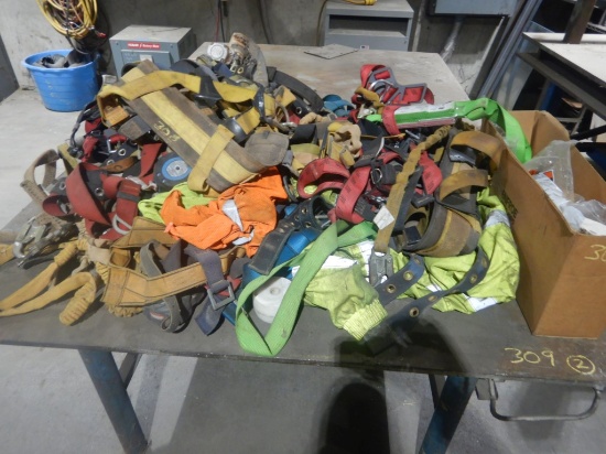 SAFETY HARNESSES