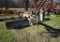 HYDRAULIC DIRT BLADE,  8' , 3 PT