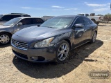 2010 NISSIAN MAXIMA CAR 240,000 (+/-)  V6, GAS, AUTO, P/S, A/C S# 1N4AA5AP0