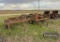 GRAHAM & HOEME 19 SHANK CHISEL PLOW,  HYD, FOLD, HAS BEEN SEPERATED