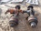 SET OF REARS,