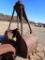 CLAMSHELL BUCKET