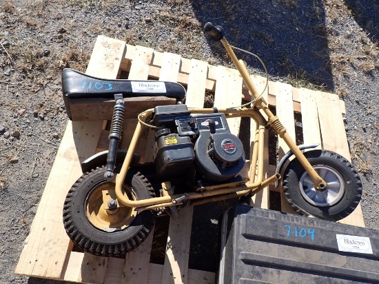BRIGGS & STRATTON MINI BIKE