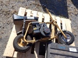 BRIGGS & STRATTON MINI BIKE