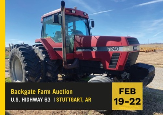 BACKGATE FARM AUCTION Day 2