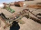 PTO LEVEE GATE MACHINE,