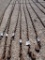 LOG CHAIN,  W/ HOOKS,