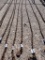 LOG CHAIN,  W/ HOOKS,