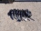 (10) GAS FUEL NOZZLES,  12/