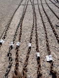 LOG CHAIN,  W/ HOOKS,