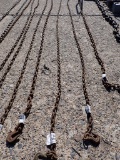 LOG CHAIN,  W/ HOOKS,