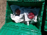 BOX TAIL LAMP ASSEMBLY,