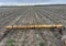 Water Furrow Plow