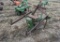 Glenco PD-10 PTO Ditcher