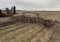 John Deere 1010 Field Cultivator