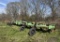 Bigham Brothers 888 Cultivator