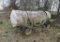John Deere Water Wagon
