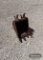 STRICKLAND MINI EXCAVATOR ATTACHMENT,