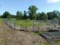 Large Dog pen,
