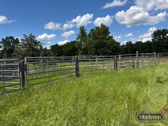 Large Lot Of Cattle Panels & Gates