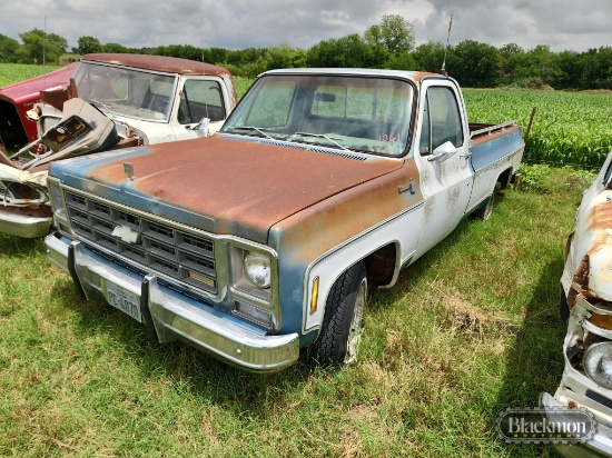 CHEVY C-10 CLASSIC PICKUP TRUCK,