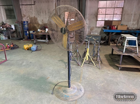 Pedestal Fan