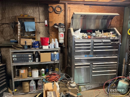 supply closet, large toolbox, cabinet, hardware, miscellaneous tools, etc.